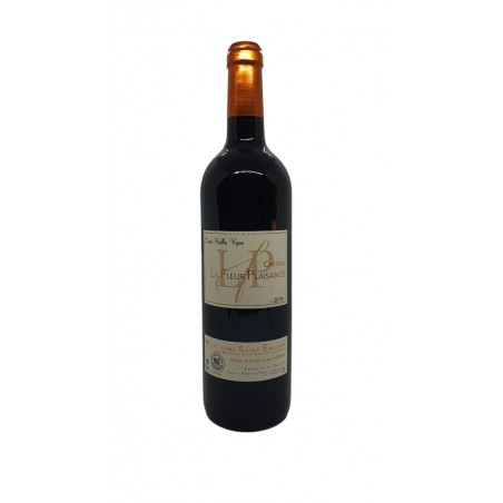 MONTAGNE SAINT EMILION 2022 CH LA FLEUR PLAISANCE 75CL